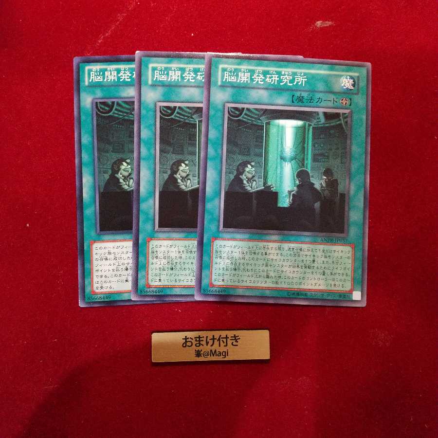 脳開発研究所 ノーマル