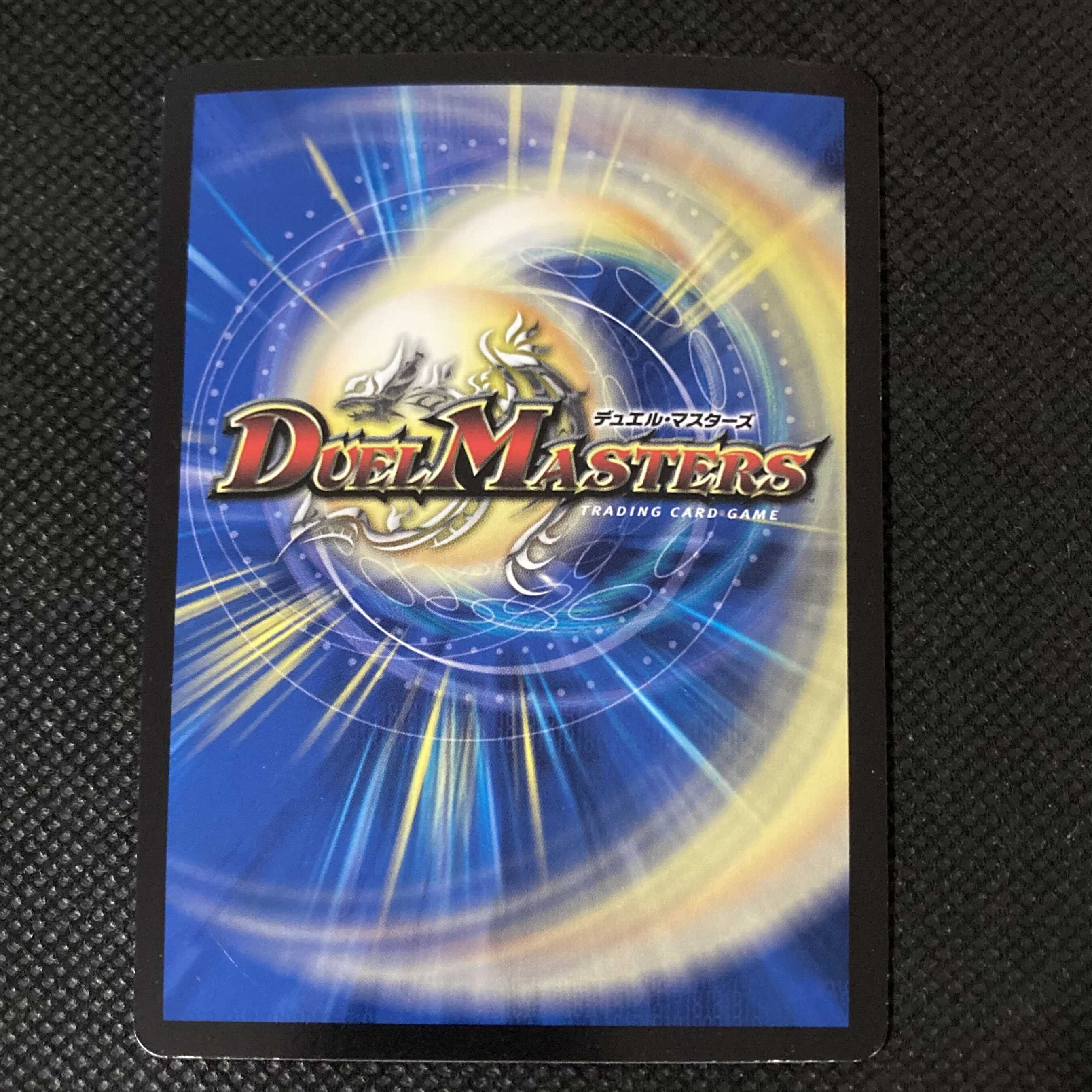 武家類武士目 ステージュラ