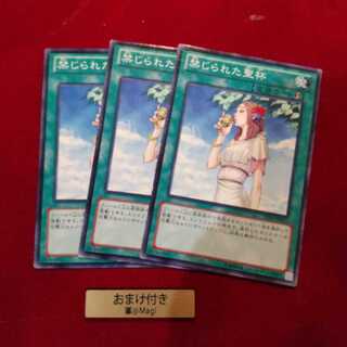 禁じられた聖杯 ノーマル