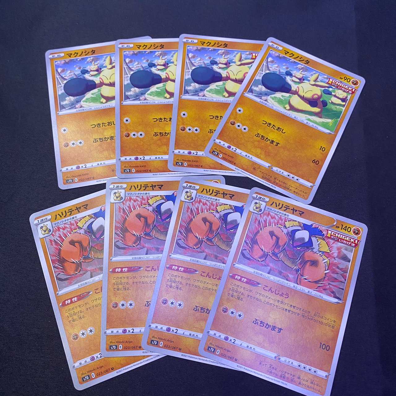 マクノシタ　ハリテヤマ　摩天パーフェクト