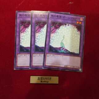 無の畢竟 オールヴェイン ノーマル