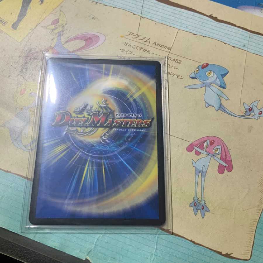 龍風混成 ザーディクリカ SR