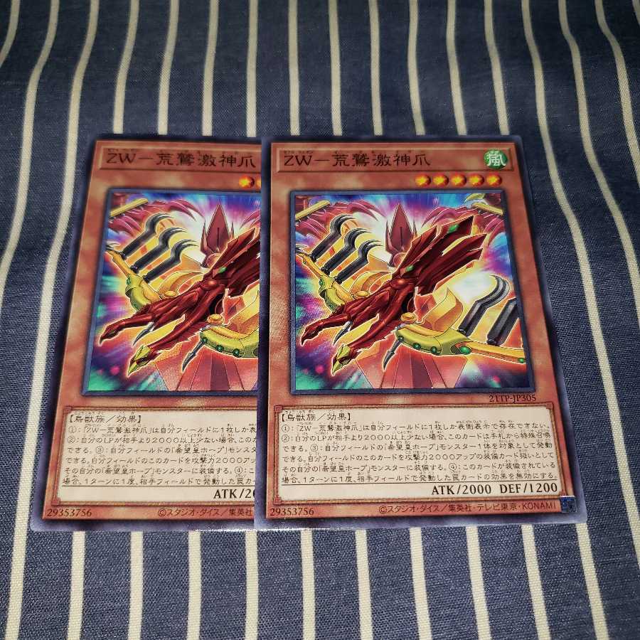 ZW-荒鷲激神爪 ノーマル2枚セット