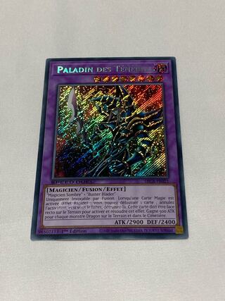 超魔導剣士-ブラック・パラディン　フランス語版　EU版