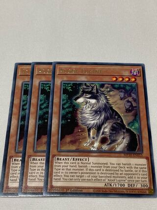 孤高除獣　英語版　EU版　3枚