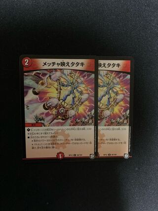 メッチャ映えタタキ　2枚