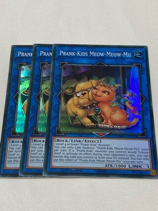 プランキッズ・ミュー　英語版　EU版　3枚