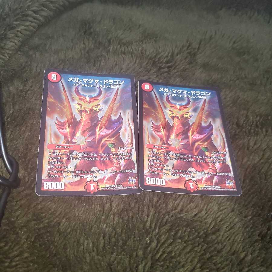 こたつにミカンさん専用