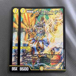 神聖龍 エモーショナル・ハードコア 2枚