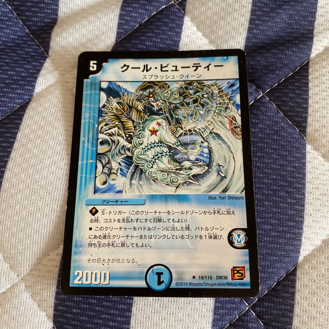 クール・ビューティー