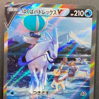 はくばバドレックスV SRスペシャルアート