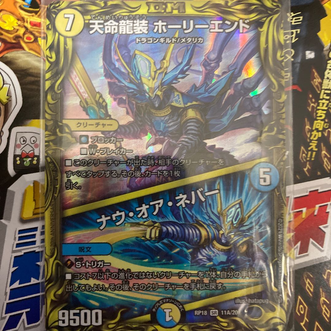 天命龍装 ホーリーエンド｜ナウ・オア・ネバー(20thレア仕様)