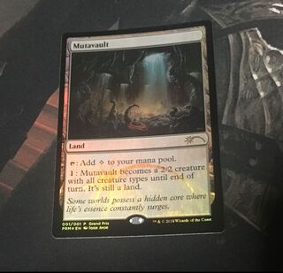 変わり谷 GPプロモ