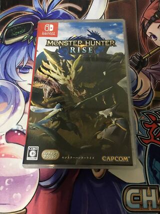 モンスターハンターライズ