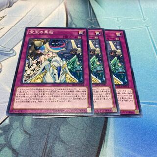 宝玉の集結　3枚セット