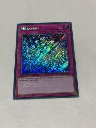 Metaverse French edition EU edition