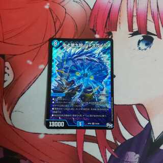 水上第九院 シャコガイル