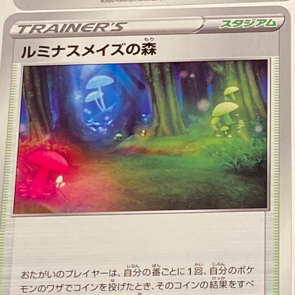 Forest of Luminous Roses