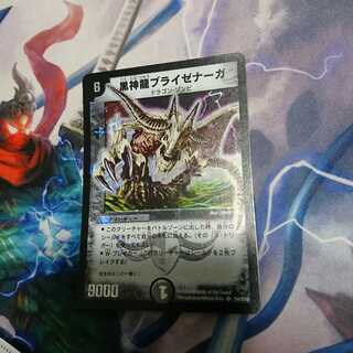 ブライゼナーガ 初期