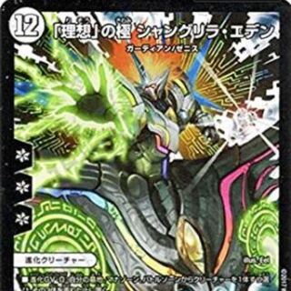 シャングリラエデン 専用 1枚