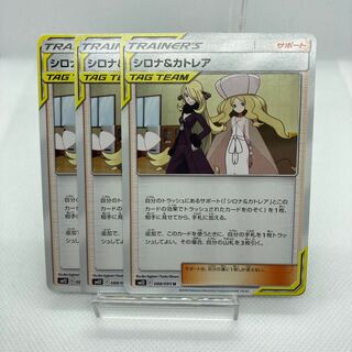 専用 シロナ＆カトレア