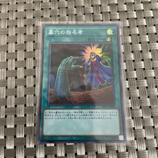 【即日発送】墓穴の指名者