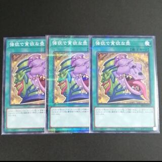 強欲で貪欲な壺