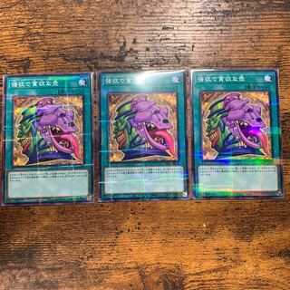 強欲で貪欲な壺　ノーマルパラレル3枚