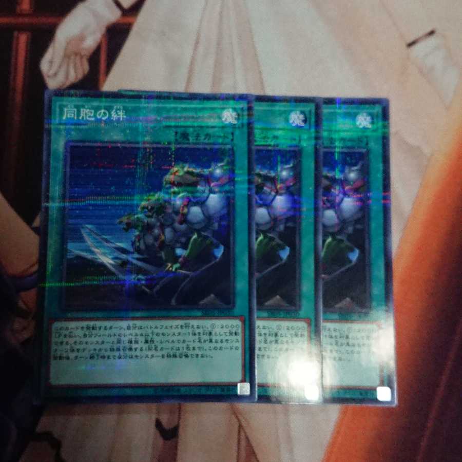 同胞の絆 パラレル ノーマル