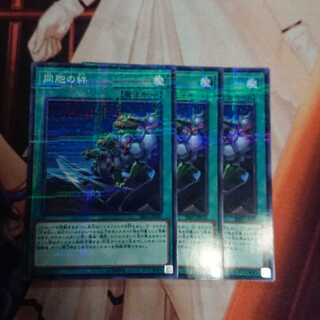 同胞の絆 パラレル ノーマル