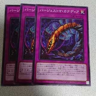 バージェストマ・カナディア ノーマル