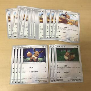 イーブイ 大量 おまけ付き