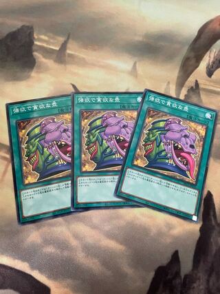 強欲で貪欲な壺 ノーマル三枚セット