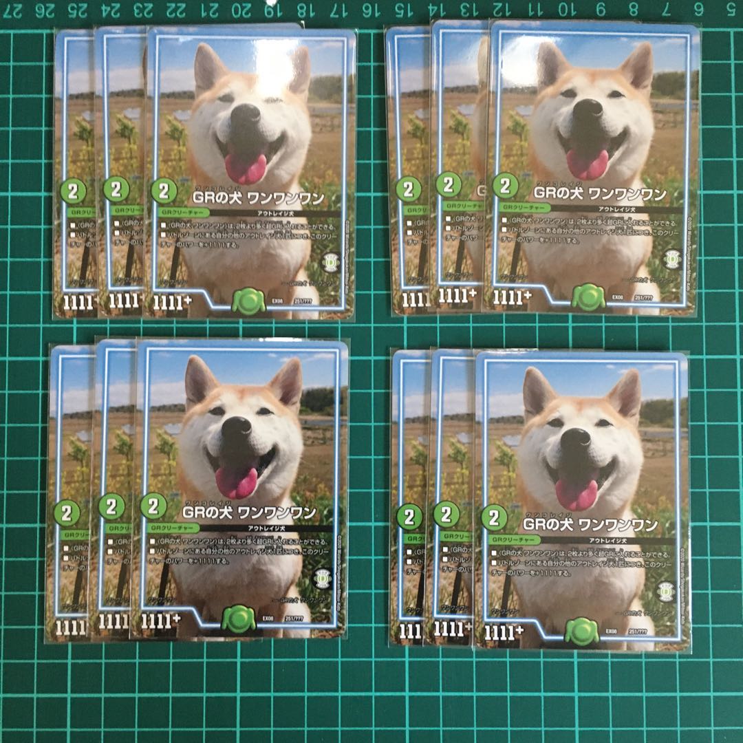 GR's dog Wan Wan Wan