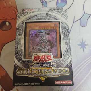 ロストサンクチュアリ 二ビル、外箱、紙プレイマットが欠品です。