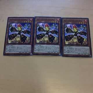 スプリガンズ・ロッキー ノーマル