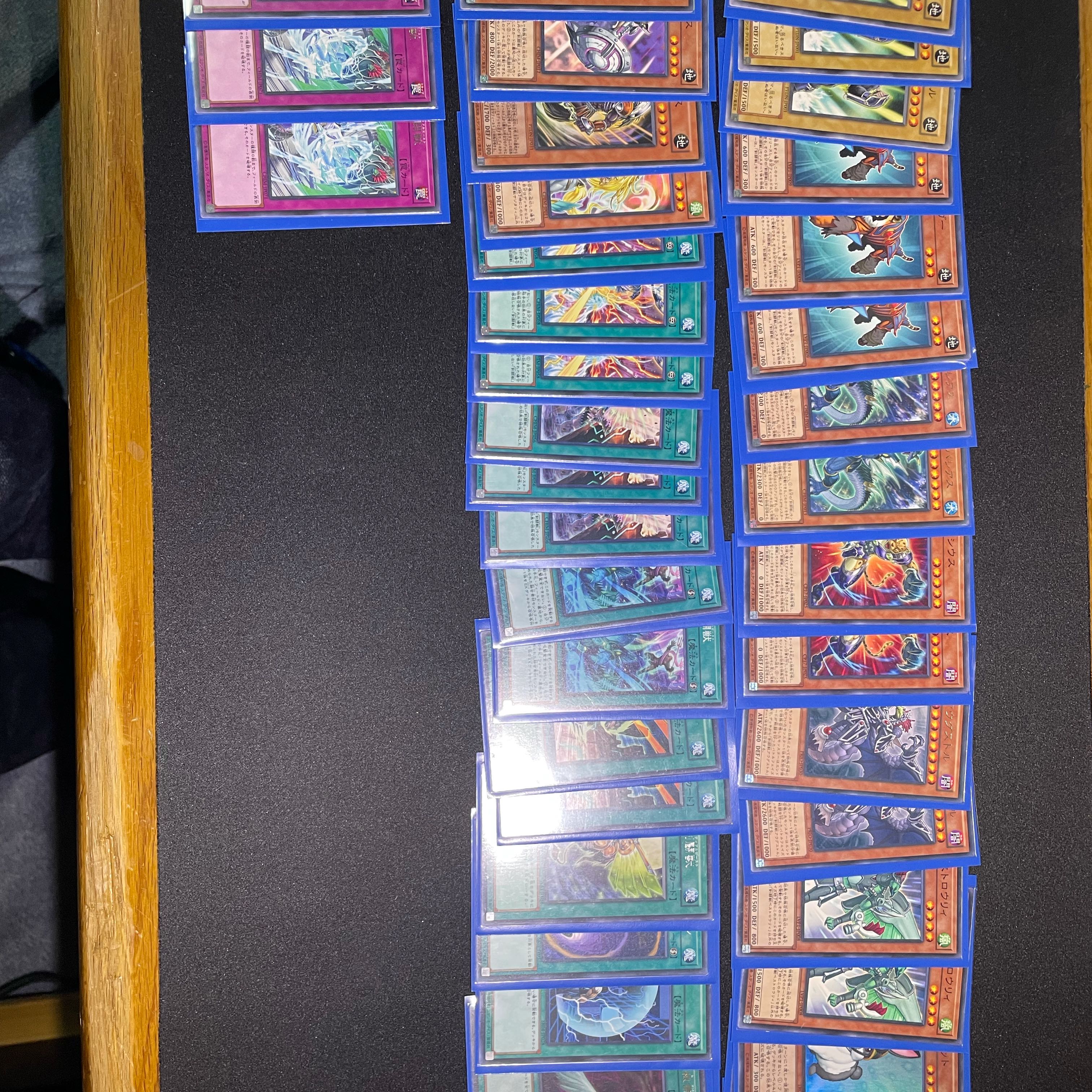 Sword Fighting Beast Deck Rosaan 40 cards EX 15 cards +α