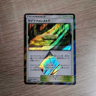 ライフフォレスト