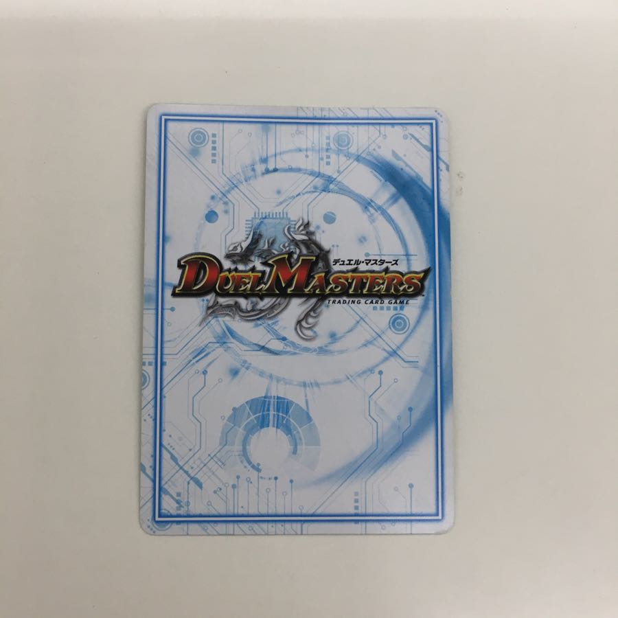 ダテンクウェール 1枚