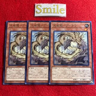 天威龍-アーダラ#1477