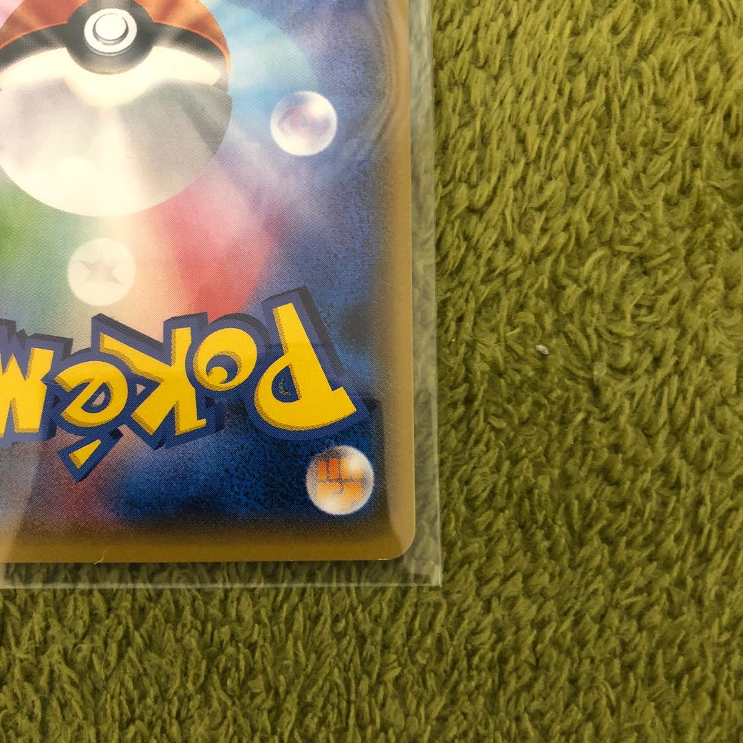 本日23時59分迄 ポンチョを着たイーブイ ブラッキー