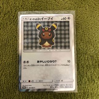 本日23時59分迄　ポンチョを着たイーブイ　ブラッキー　