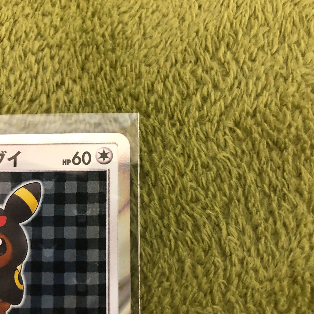 本日23時59分迄 ポンチョを着たイーブイ ブラッキー