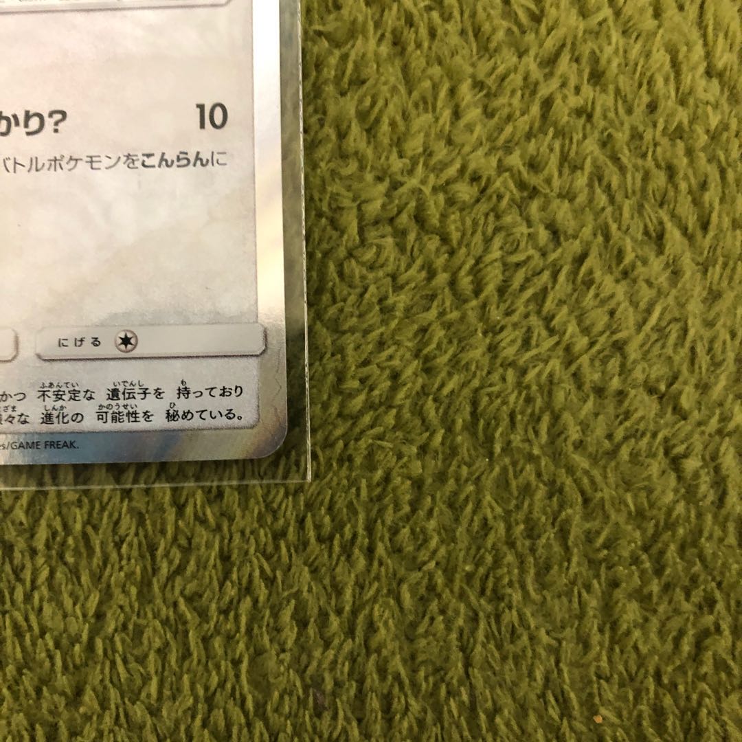 本日23時59分迄 ポンチョを着たイーブイ ブラッキー