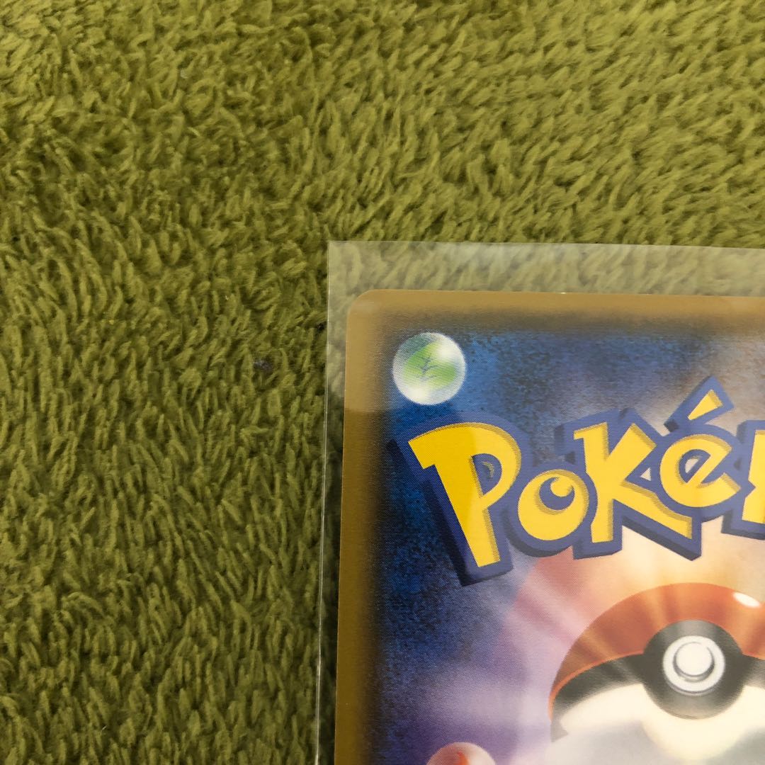 本日23時59分迄 ポンチョを着たイーブイ ブラッキー