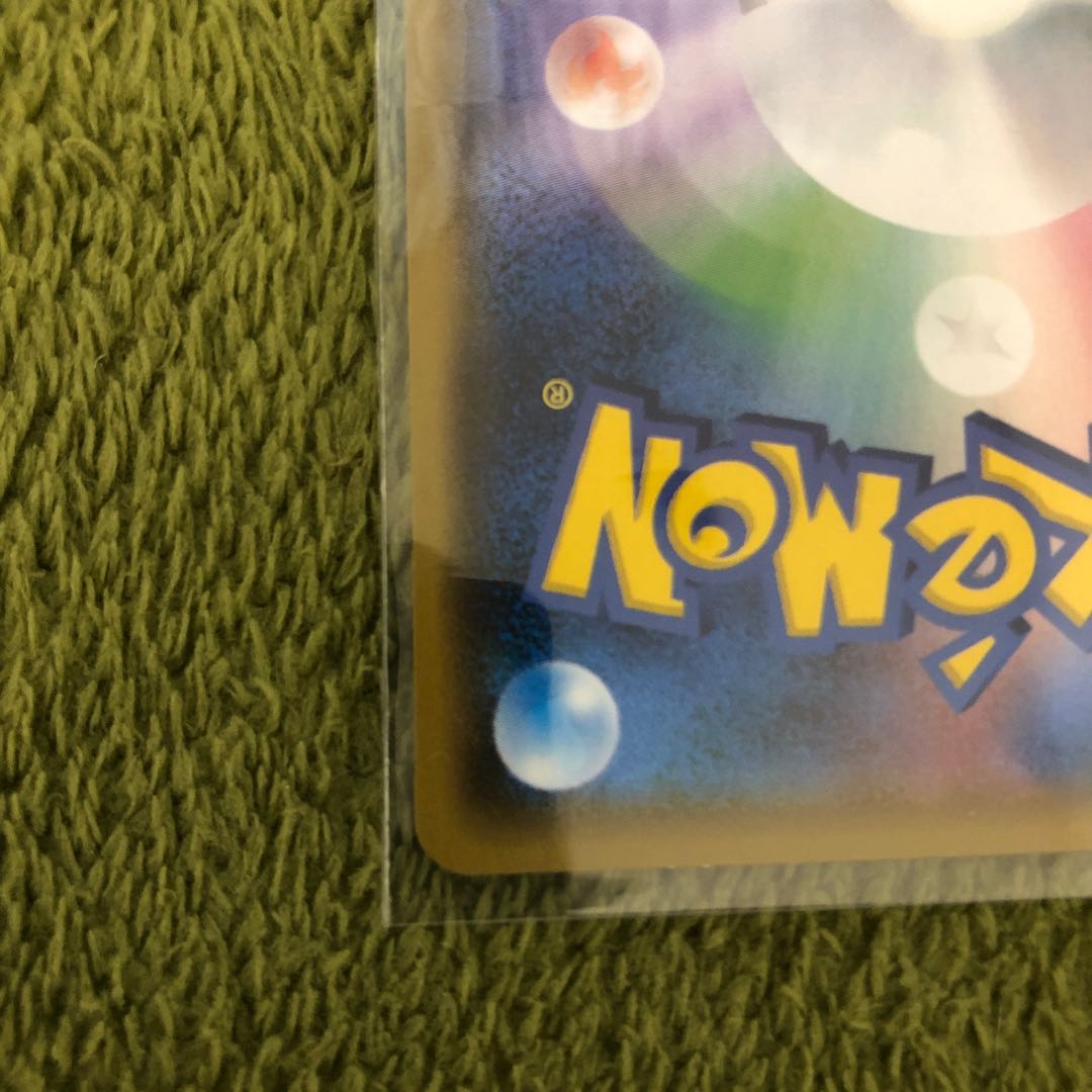 本日23時59分迄 ポンチョを着たイーブイ ブラッキー