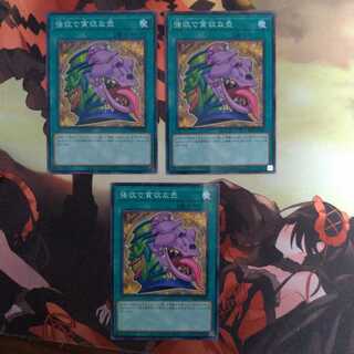 強欲で貪欲な壺