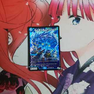 水上第九院 シャコガイル