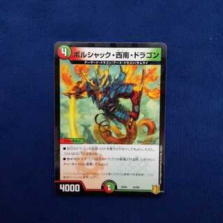 ボルシャック・西南・ドラゴン