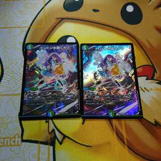 ドンドン水撒くナウ×2